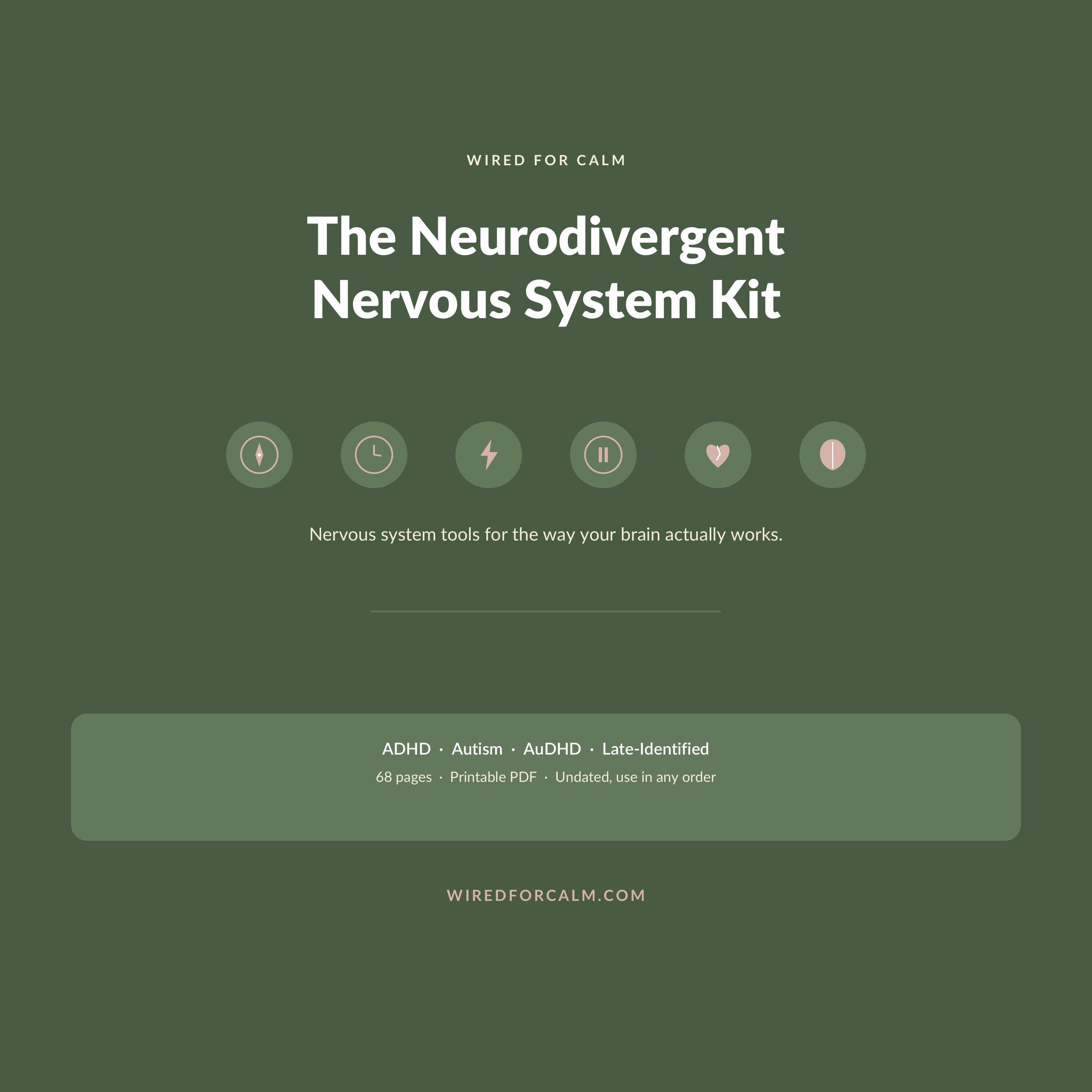 The Neurodivergent Nervous System Kit — cover